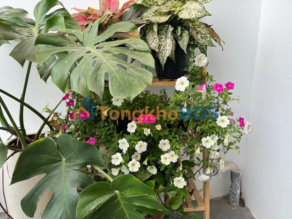 Đất Thổ Cư Yên Khánh, Ninh Bình - 43m² - Sổ Đỏ Sẵn Sàng Xây Nhà