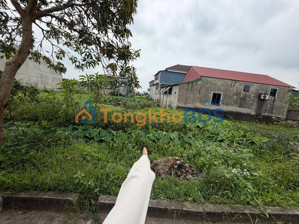 Bán Đất Vàng Hà Tĩnh 120m² Gần Shophouse Nguyễn Xí - Cơ Hội Đầu Tư