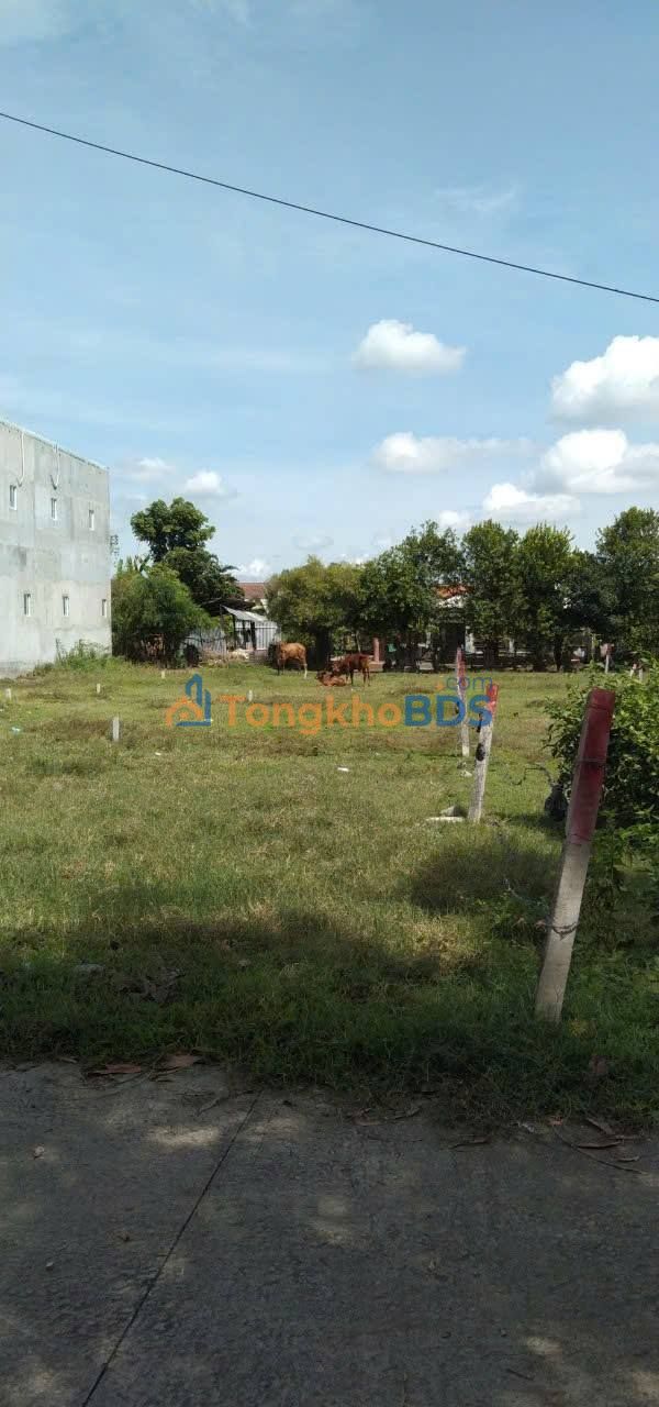 Bán Đất Nền Đức Hòa Long An - 864m² Sổ Hồng Riêng, Giá 3.8 Tỷ