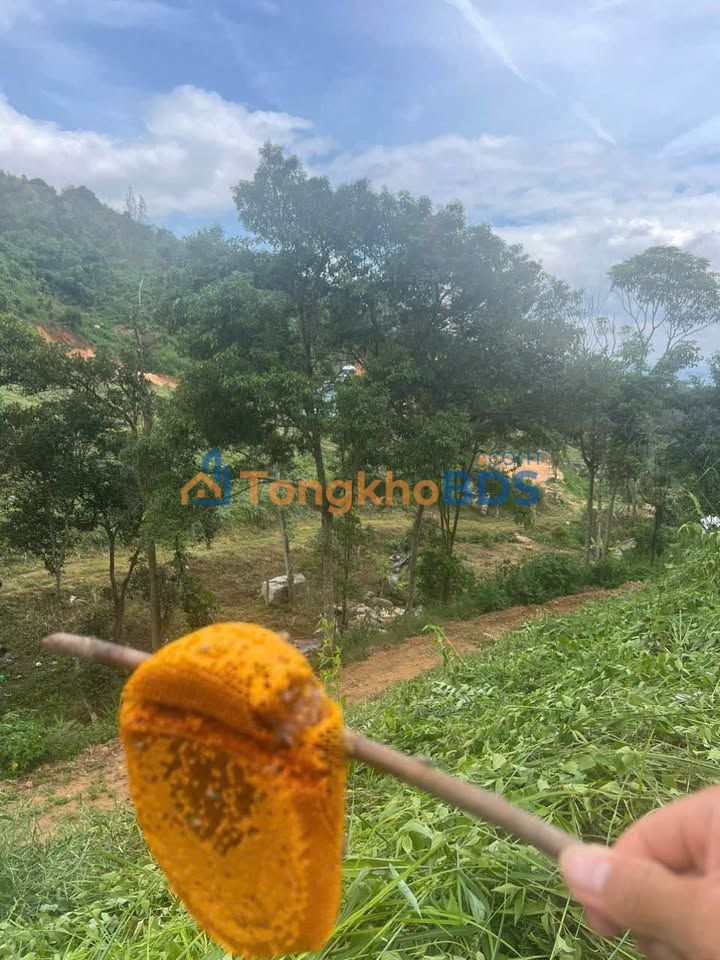 Bán Gấp Đất Vườn 1ha Lâm Hà - Suối Thác Quanh Năm