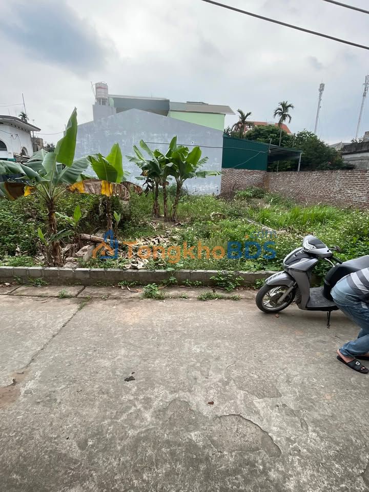 Đất Nền Thường Tín 80m² - Lô Góc Nở Hậu, Gần Chợ, Tiềm Năng Tăng Giá Cao