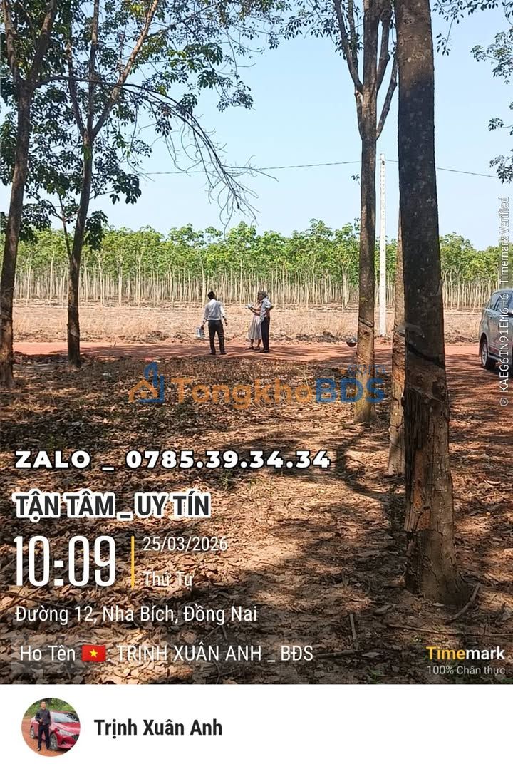 Đất Nền Sổ Sẵn Xã Nha Bích, Chơn Thành - 208m² Giá Chỉ 4xx Triệu