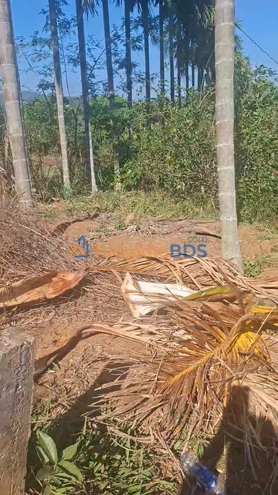 Đất thổ cư 270m² Ea Ning, Đắk Lắk - Vừa ở vừa kinh doanh, giá chỉ 1.7 tỷ