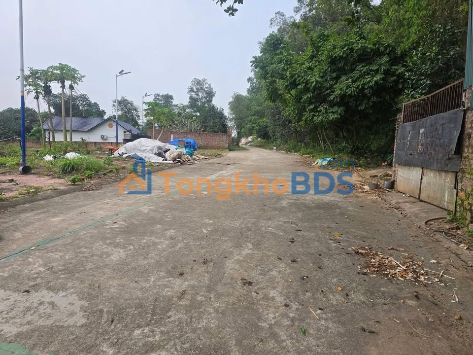 Bán đất 95m² Ngô Xá - Phật Tích, Tiên Du, Bắc Ninh - Ngõ ô tô, trung tâm xã