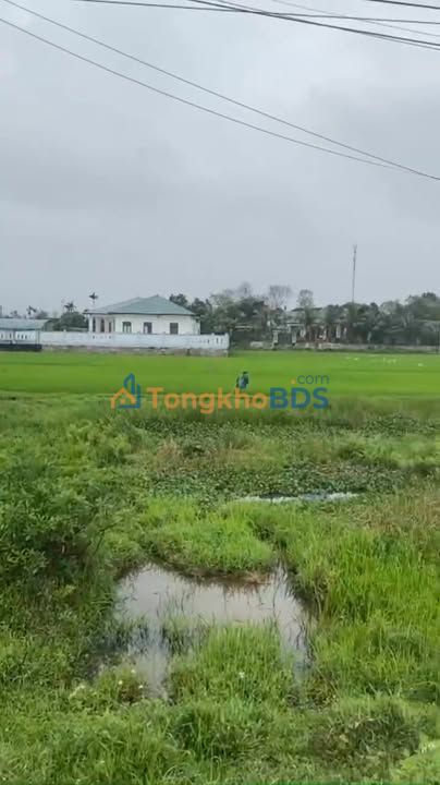 Đất Vàng Tĩnh Lộ 17, Hà Tĩnh - 6200m² Hướng Nam, Sẵn Sàng Đầu Tư/An Cư