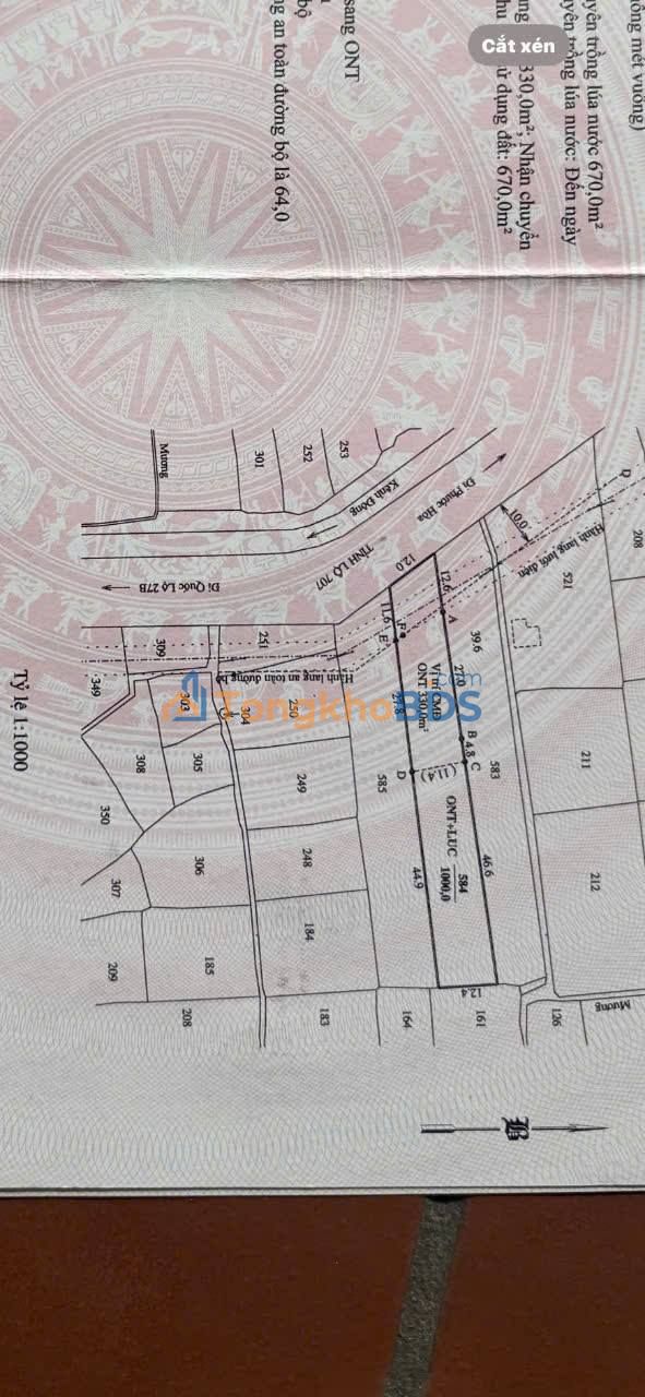 Đất Mặt Tiền Đường 707 Ninh Hải - 996m² Kinh Doanh Đa Ngành