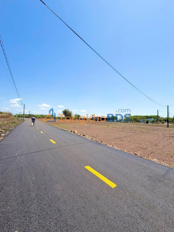 Đất Nền Sổ Hồng Sẵn 150m² Phước Long Thọ - 570 Triệu