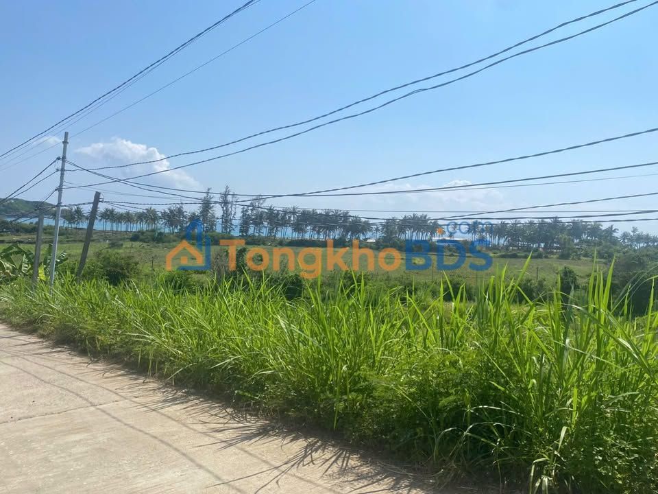 Đất Biển Tuy Hòa 1000m² - View Gành Đá Đĩa, Sổ Đỏ Thổ Cư, Giá 4 Tỷ