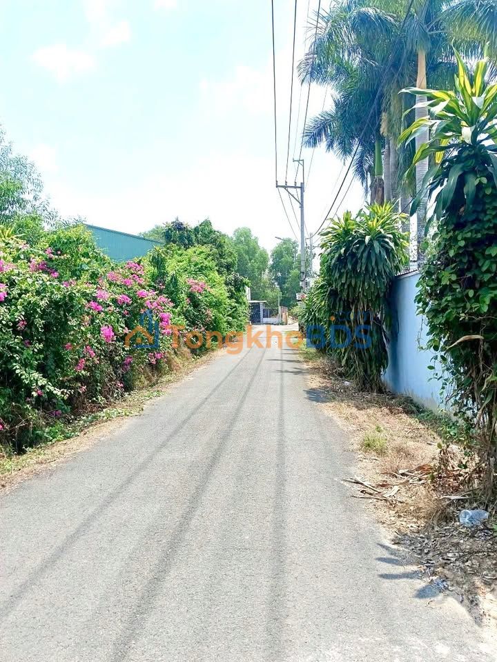 Đất Vườn Củ Chi 500m² - Giá 5 Tỷ - Gần Nguyễn Thị Lắng, Sẵn Sàng Xây Dựng