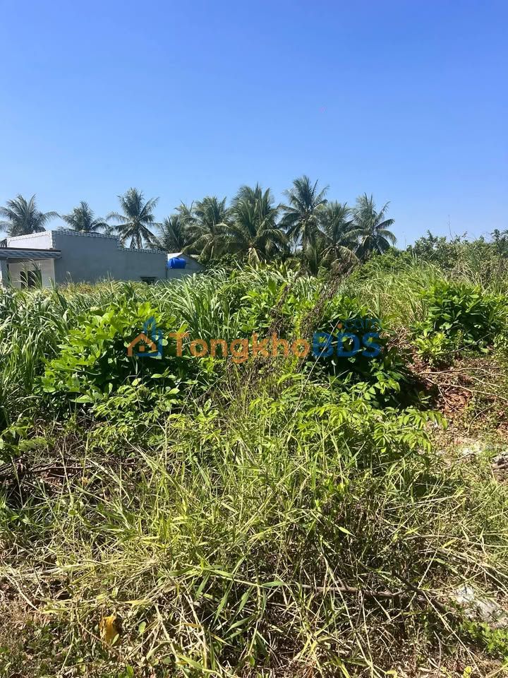 Bán Đất Mặt Tiền QL 57B, Bến Tre - 338m² Thổ Cư, Giá 1.7 Tỷ