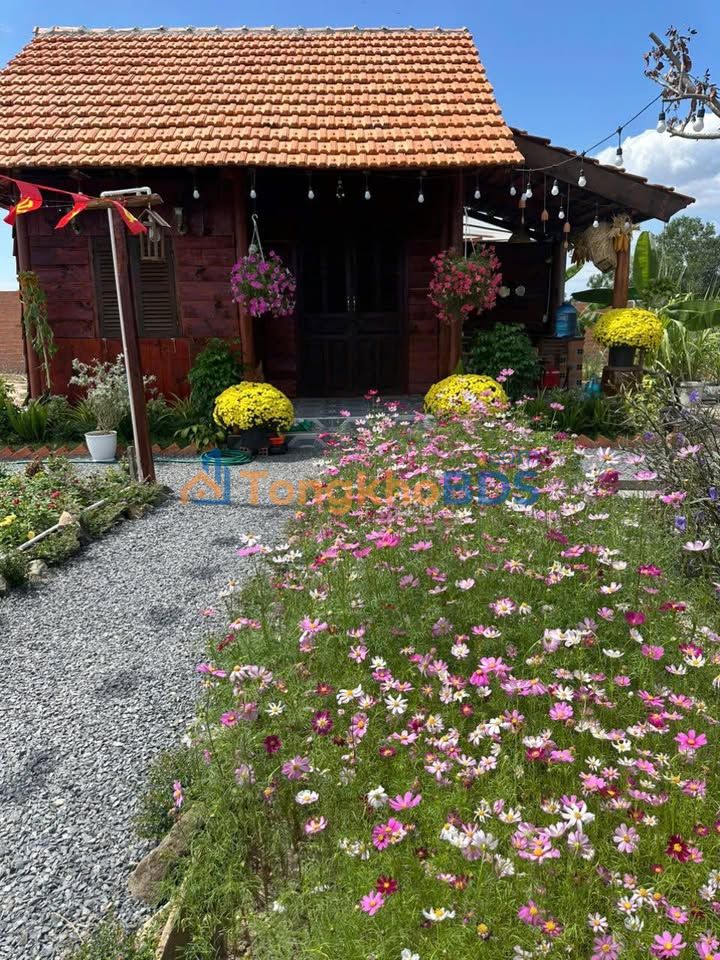 Bán Gấp Nhà Vườn 786m² Hàm Liêm - View Đẹp, Chỉ 880 Triệu