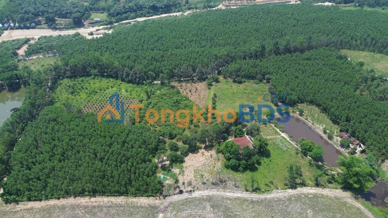 2ha Đất Vườn Nghỉ Dưỡng - View Núi Đẹp Hòa Phú, Đà Nẵng