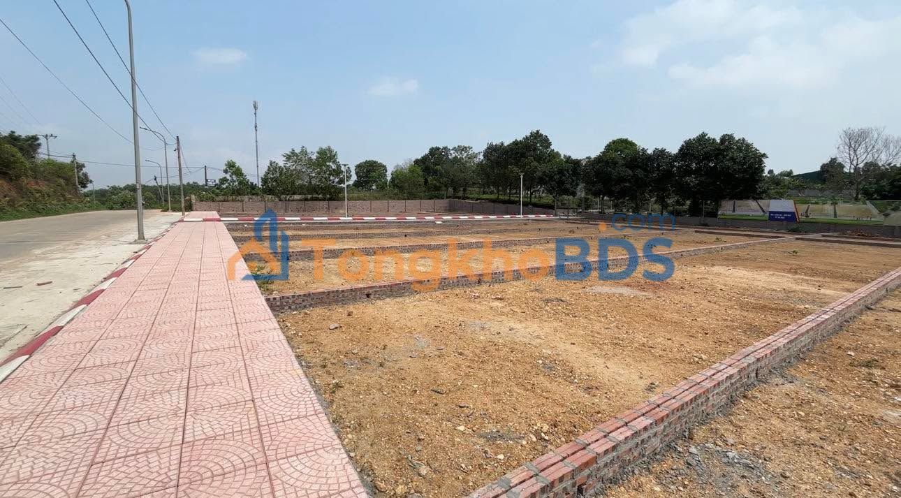 Đất Sổ Đỏ Đông Anh 150m² - 2 Lô Liền Kề Đường Lớn, Ô Tô Tránh