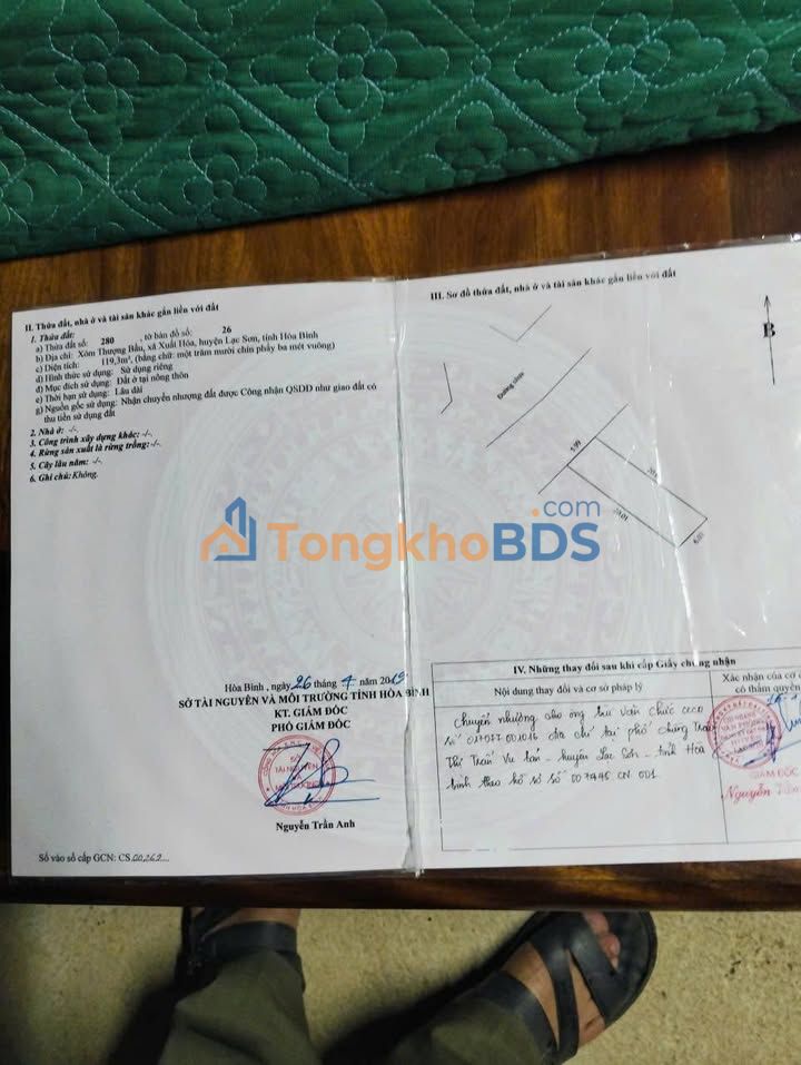 Mặt Tiền QL 12C Tân Lạc - 119m² Kinh Doanh/Ở - Giá Thương Lượng