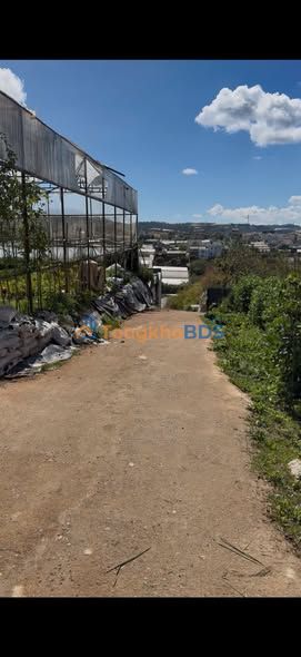 Bán Đất Nền Langbiang Đà Lạt 478m² - Sổ Riêng, Hai Mặt Tiền