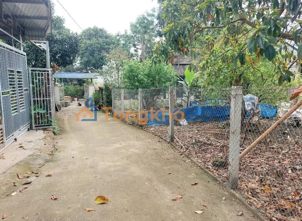 Đất Vàng Yên Lãng - Đại Từ: 123m² Sổ Đỏ, Giá Hơn 500 Triệu - Cơ Hội Đầu Tư Hấp Dẫn