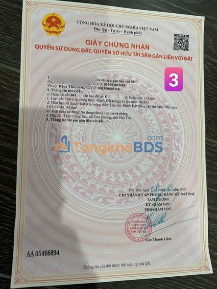 Bán Đất Thổ Cư 175m² Tam Dương, Vĩnh Phúc - Đường 2 Ô Tô Tránh