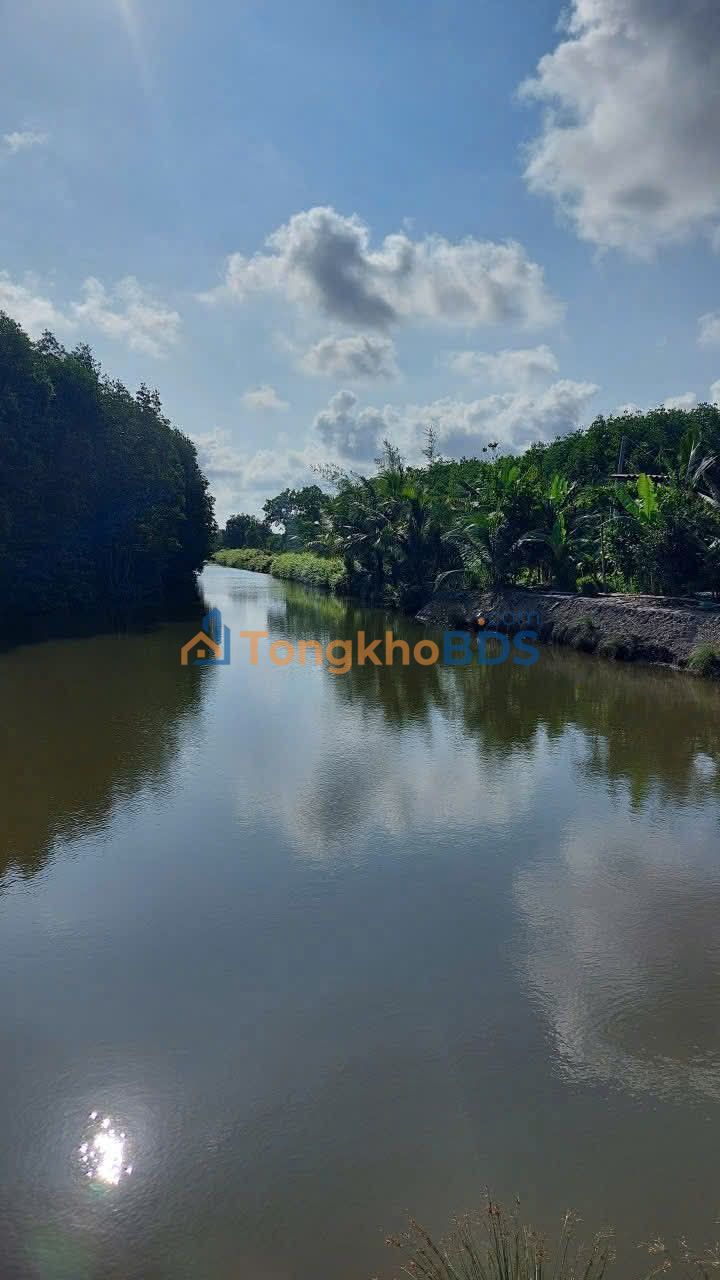 Bán Gấp Farm 50.000m² Huyện Năm Căn, Cà Mau - Sẵn Sàng Khai Thác