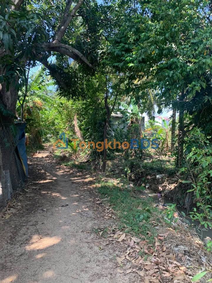 Bán Đất Vườn Yên Thế, Phan Rang - 2000m² Giá Tốt Đầu Tư