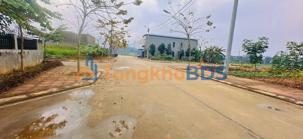 Đất Nền Tam Đảo 100m² - Sổ Đỏ Thổ Cư, Gần Chợ, Trường Học