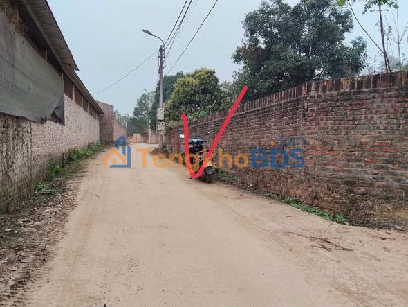 Bán Đất Thổ Cư 96m² Tam Dương, Vĩnh Phúc - Sổ Đỏ Sẵn Sàng