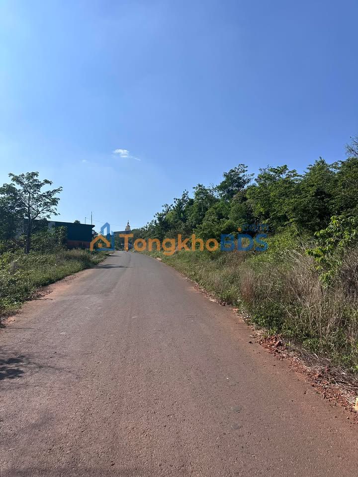 Đất Nền Đắk Nông 300m² - Mặt Đường Nhựa 1.4 Tỷ, Sẵn Sổ Hồng