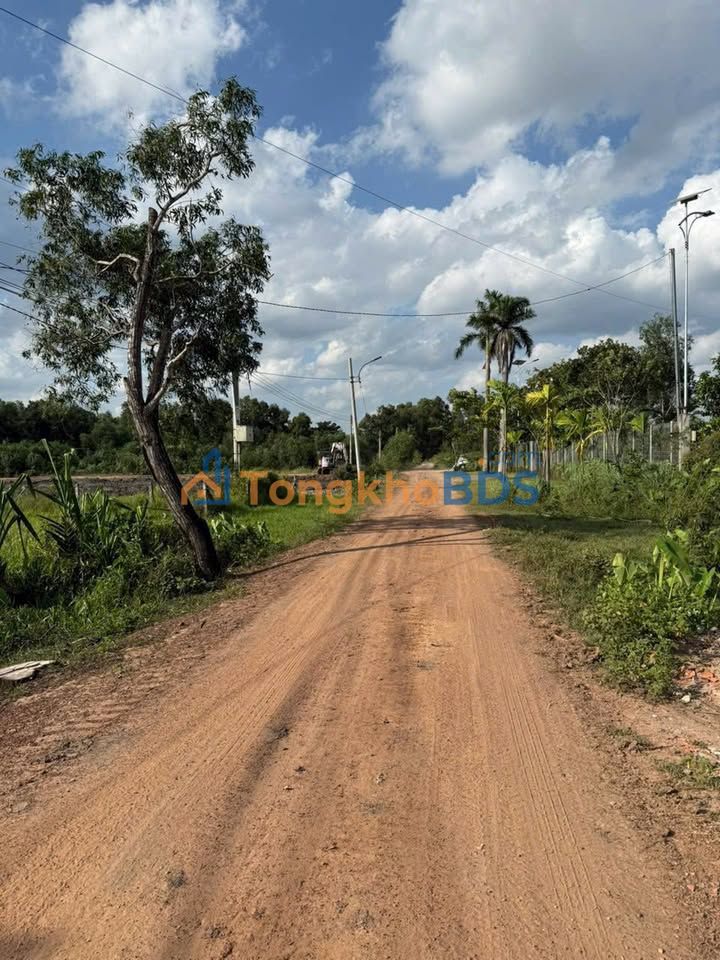 Đất Vườn 1050m² Phú An, Bến Cát - View Sông Sài Gòn Giá 4.2 Tỷ