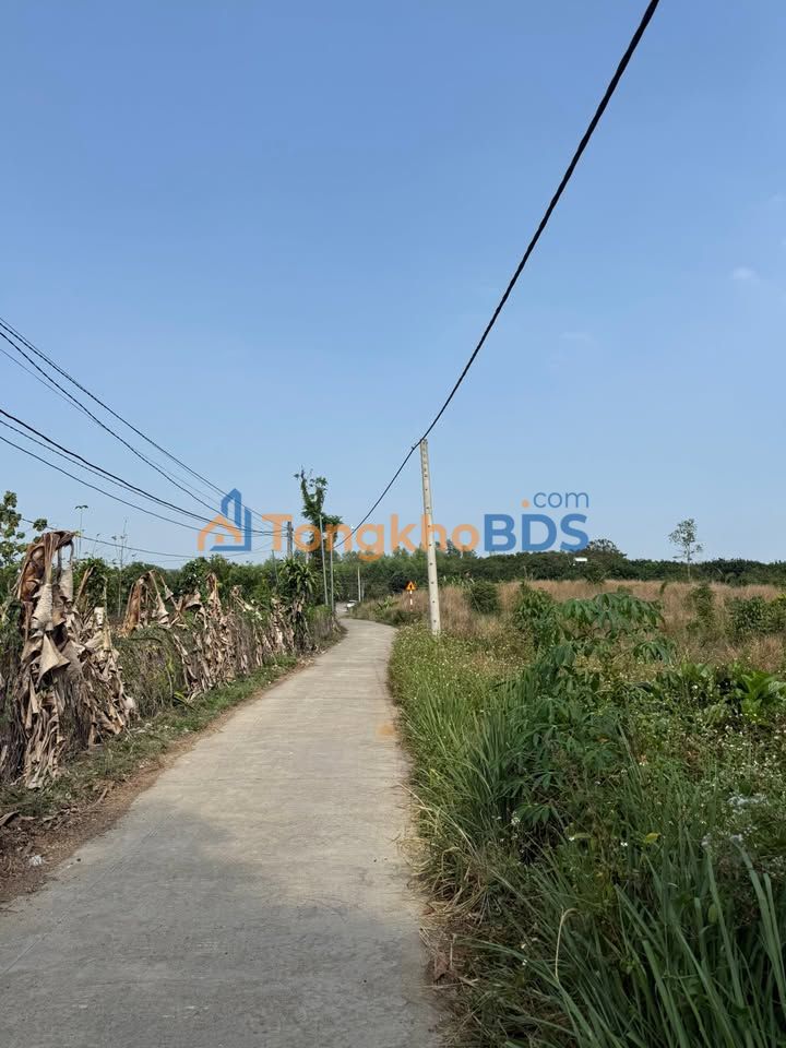 Bán Đất Vườn 3600m² Phú Hòa, Đồng Nai - Sổ Hồng Riêng