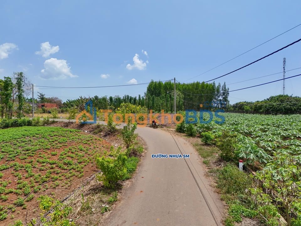 Đất Vàng Châu Đức: Lô Góc 2 Mặt Tiền 323m² - Giá 850 Triệu