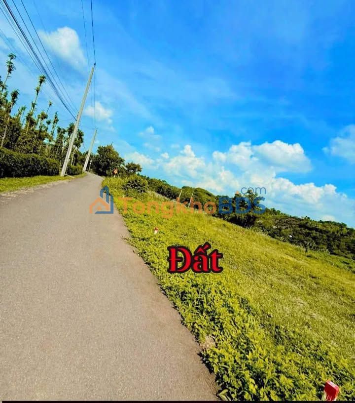 Đất thổ cư 200m² Bàu Chinh, Châu Đức - Sổ hồng sẵn, giá chỉ 570 triệu