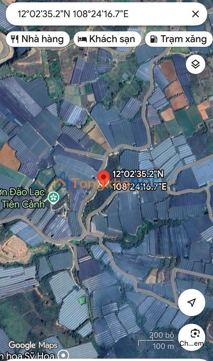 Bán 9.8 Tỷ - 36.000m² Đất Nông Nghiệp Lạc Dương, Lâm Đồng - Sổ Riêng