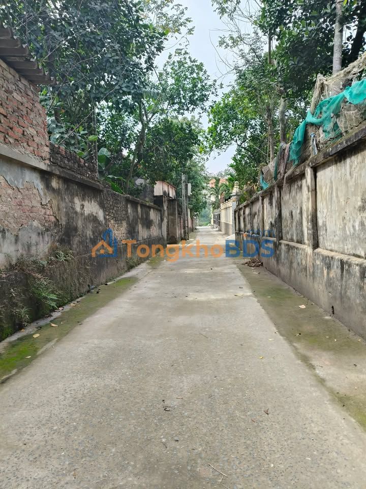 Đất Sổ Đỏ Thanh Oai - 110m² Oto Tải Vào Đất - Giá F0 2.2 Tỷ