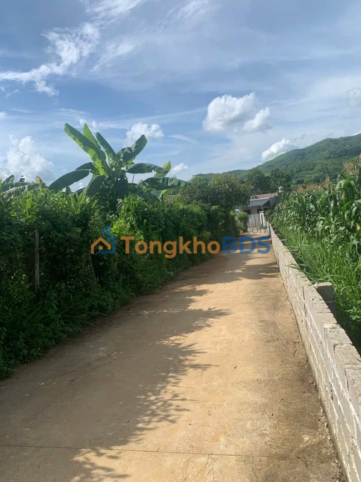 Đất Nền 2000m² Xã Cao Phong, Phú Thọ - Sẵn Sàng Xây Dựng, Giá 1 Tỷ