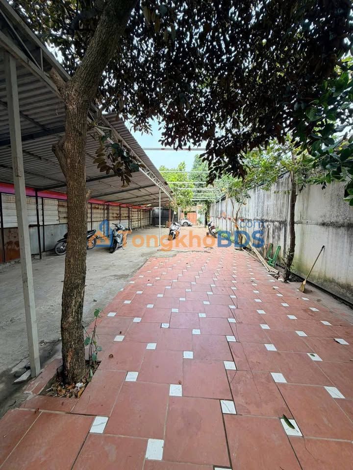 Nhà Nguyên Căn 3 Tầng Mặt Tiền 8m Đê Quai, Tây Hồ - 30 Triệu/Tháng