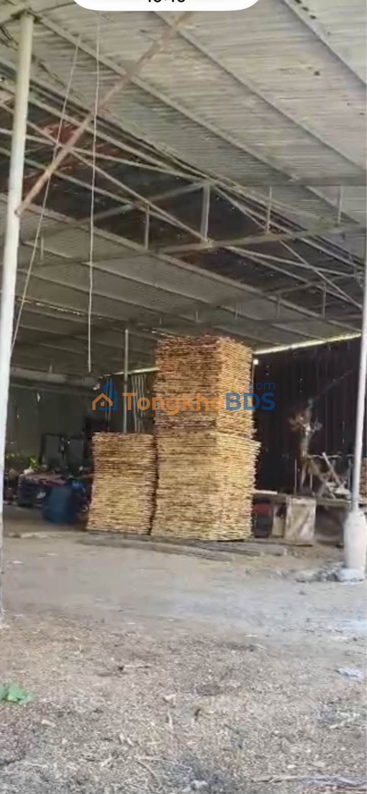 Bán gấp nhà xưởng 2200m² mặt tiền đường nhựa Trảng Bom - Sẵn sàng hoạt động