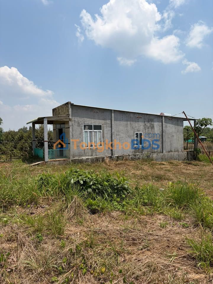 Đất Vườn 1500m² Đồng Nai Tặng Nhà 2PN - Pháp Lý Sổ Đỏ, Giá 850 Triệu