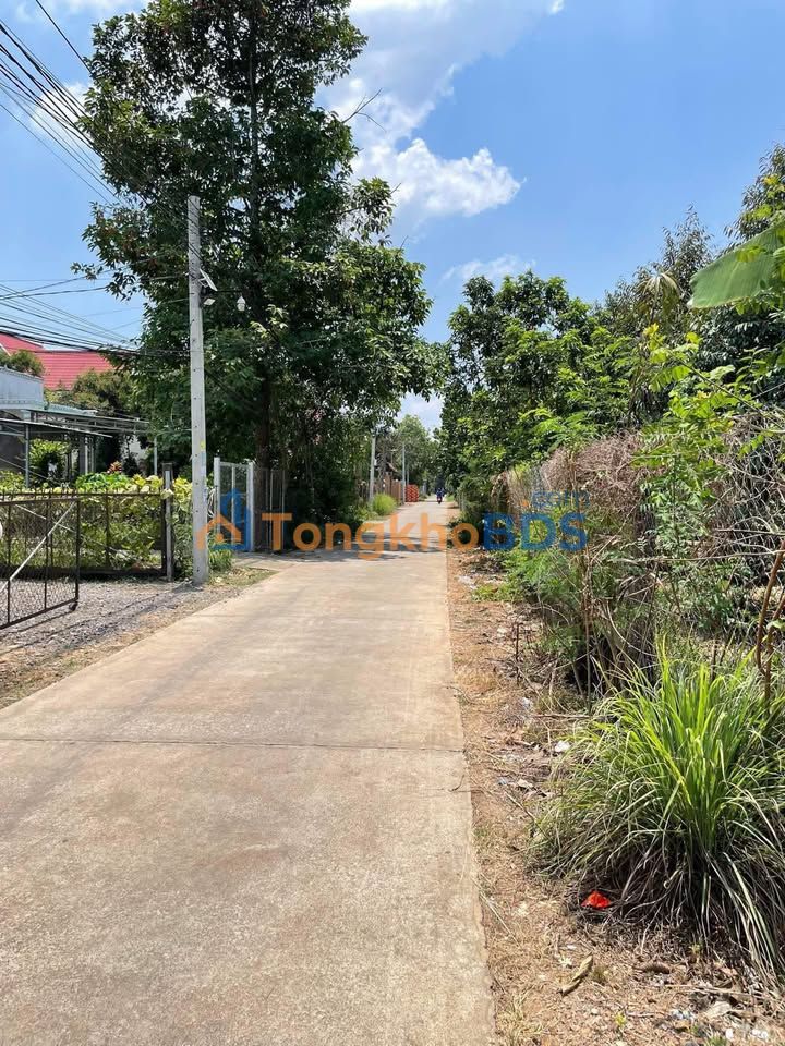 Đất Nền Tân Uyên 4900m² - Mặt Tiền Lớn, Sổ Hồng Sẵn Sàng