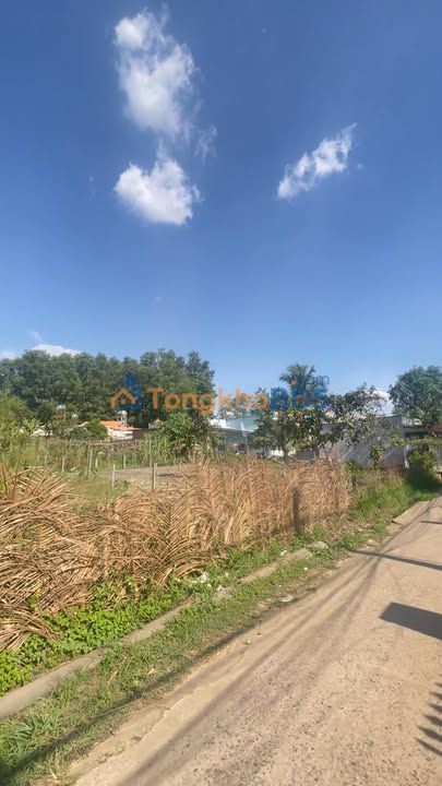 Bán Đất Bình Sơn Long Thành 192m² Sổ Riêng Thổ Cư - Giá Đầu Tư Hấp Dẫn