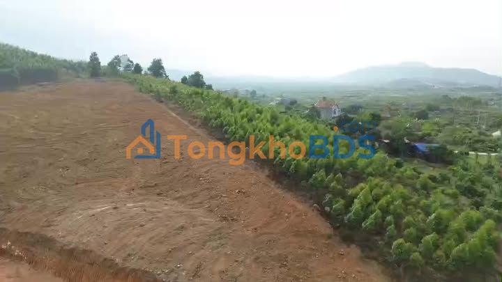 Bán Gấp Lô Vườn 11.000m² Sổ Hồng Tại Gia Bình, Bắc Ninh - Giá Chỉ 3 Tỷ