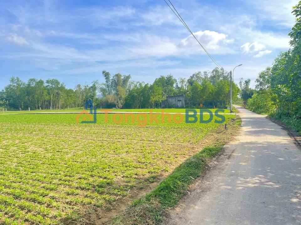 Bán Đất Vườn Hòa Nhơn, Đà Nẵng - 500m² Giá Siêu Rẻ Chỉ Từ 1xx Triệu