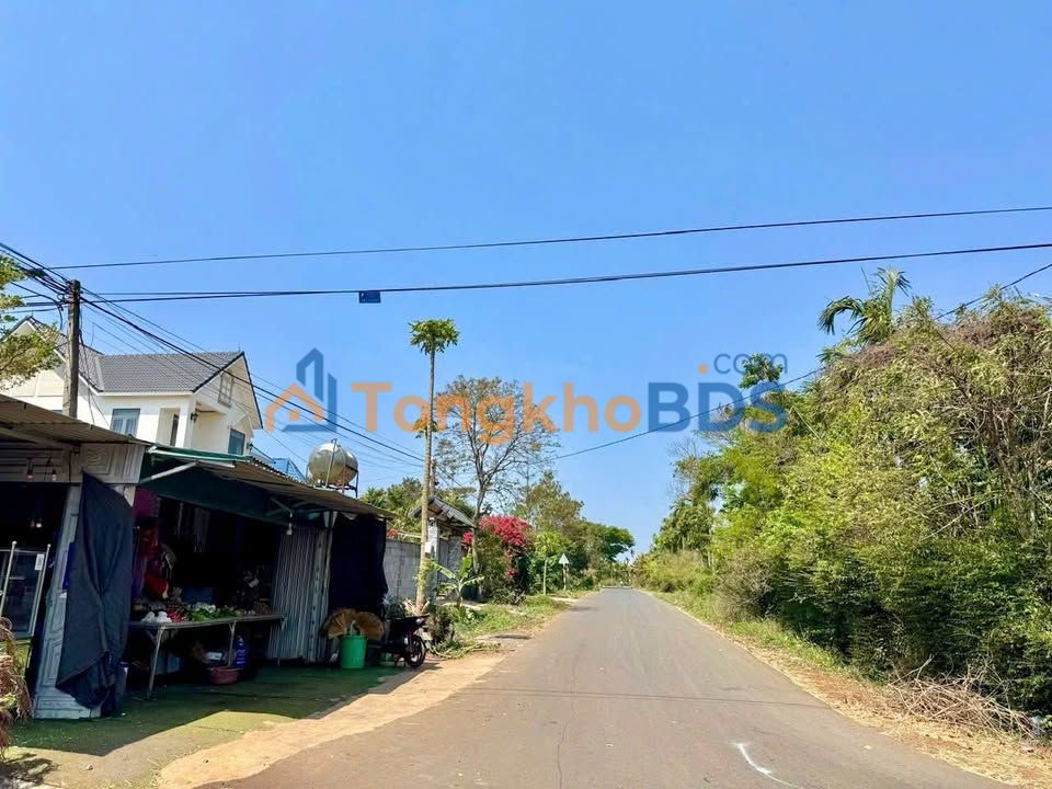 Đất Mặt Tiền Kinh Doanh Phường Tân Lập, BMT - 222m² Sẵn Sàng Đầu Tư