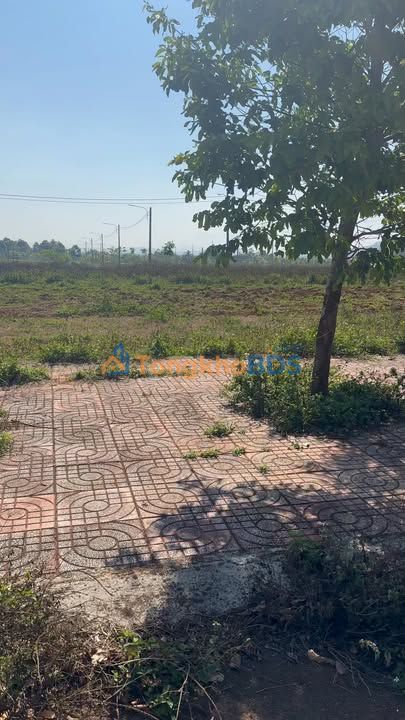 Đất thổ cư 175m² trục đường 21m, Xã Dray Bhăng, Đắk Lắk - Giá 8xx triệu