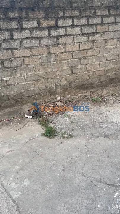 Bán 5 Lô Đất Vàng 100m² Phường Lĩnh Nam, Hoàng Mai - Sổ Đỏ Sẵn Sàng