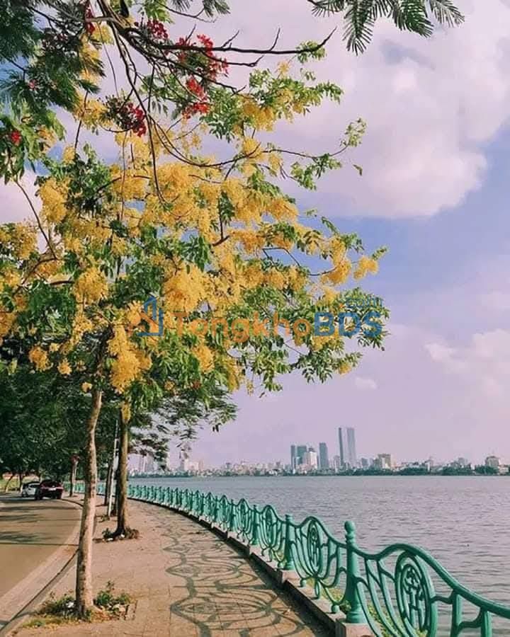 Nhà Mặt Phố Tây Hồ 6.5 Tầng - KD Đỉnh Cao - 18 Tỷ