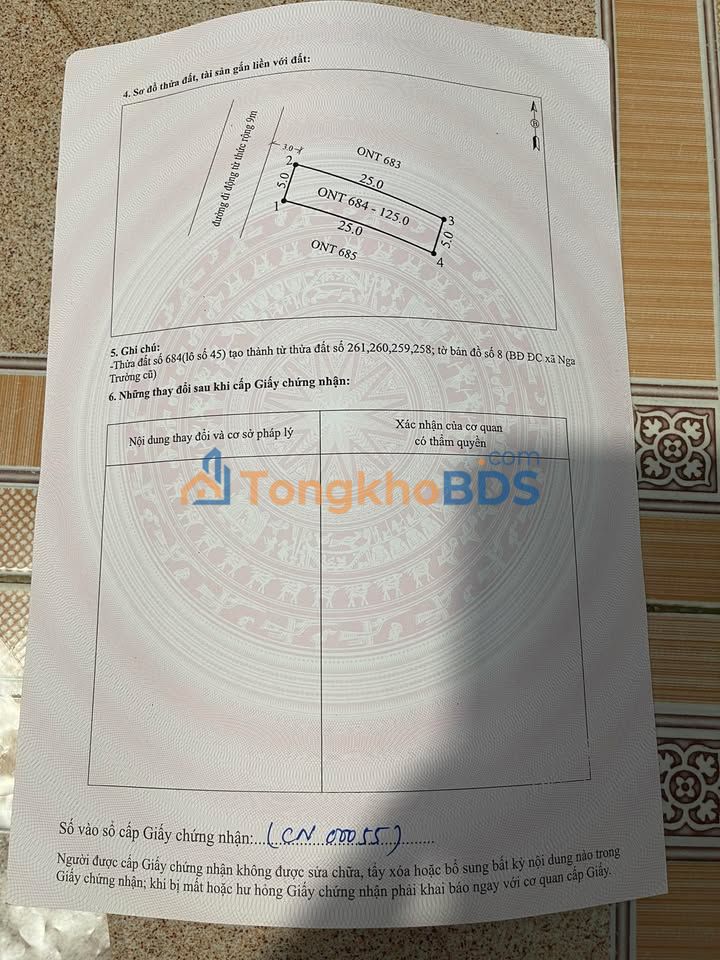 Đất nền Xã Nga Trường, Nga Sơn - 125m² - Sổ đỏ sẵn sàng giao dịch