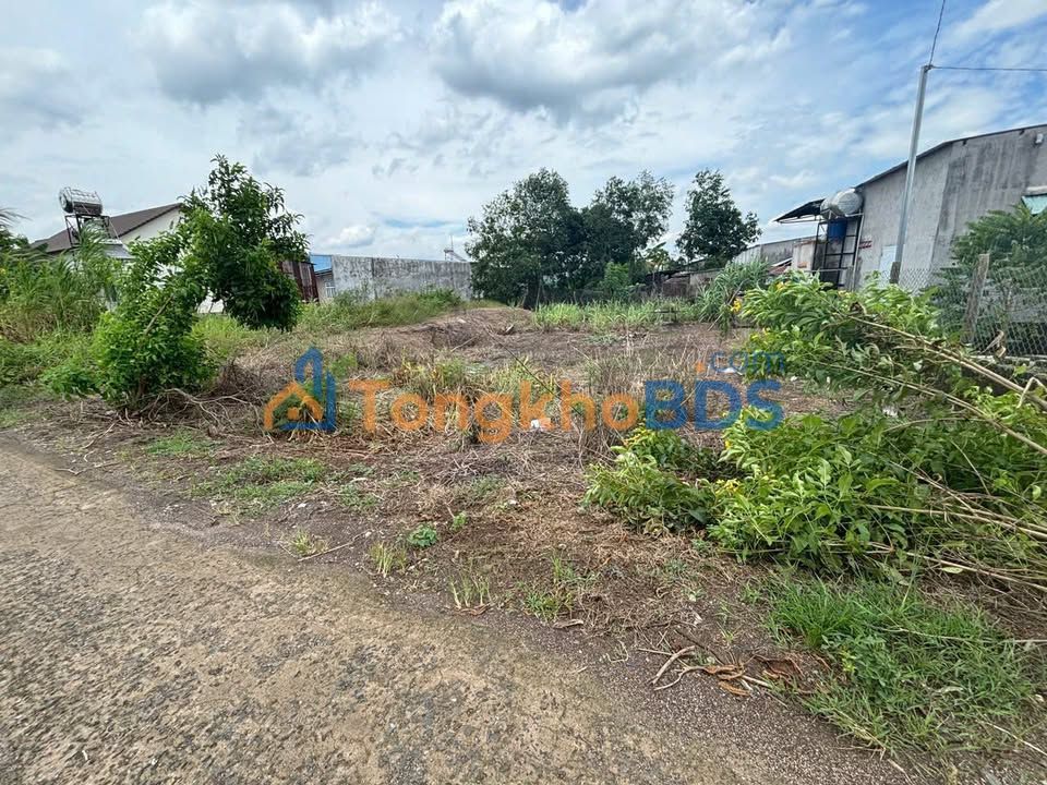 Đất Nền Sổ Hồng 140m² Tại Xuân Lộc, Đồng Nai - Giá 850 Triệu