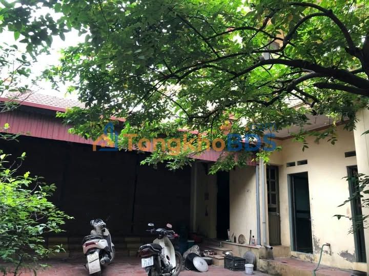 Bán nhà cấp 4 Hoài Đức 176m² - Ô tô vào nhà, hướng Đông Nam