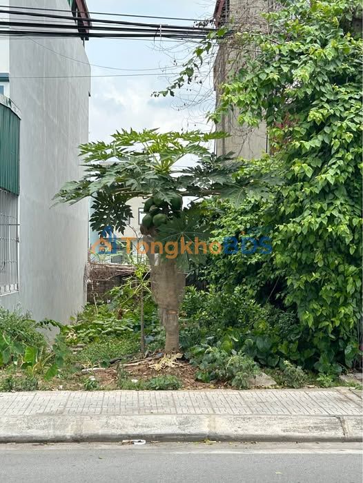 Bán đất mặt tiền kinh doanh Hòa Mạc, Hà Nam - 90m², view sông Châu Giang