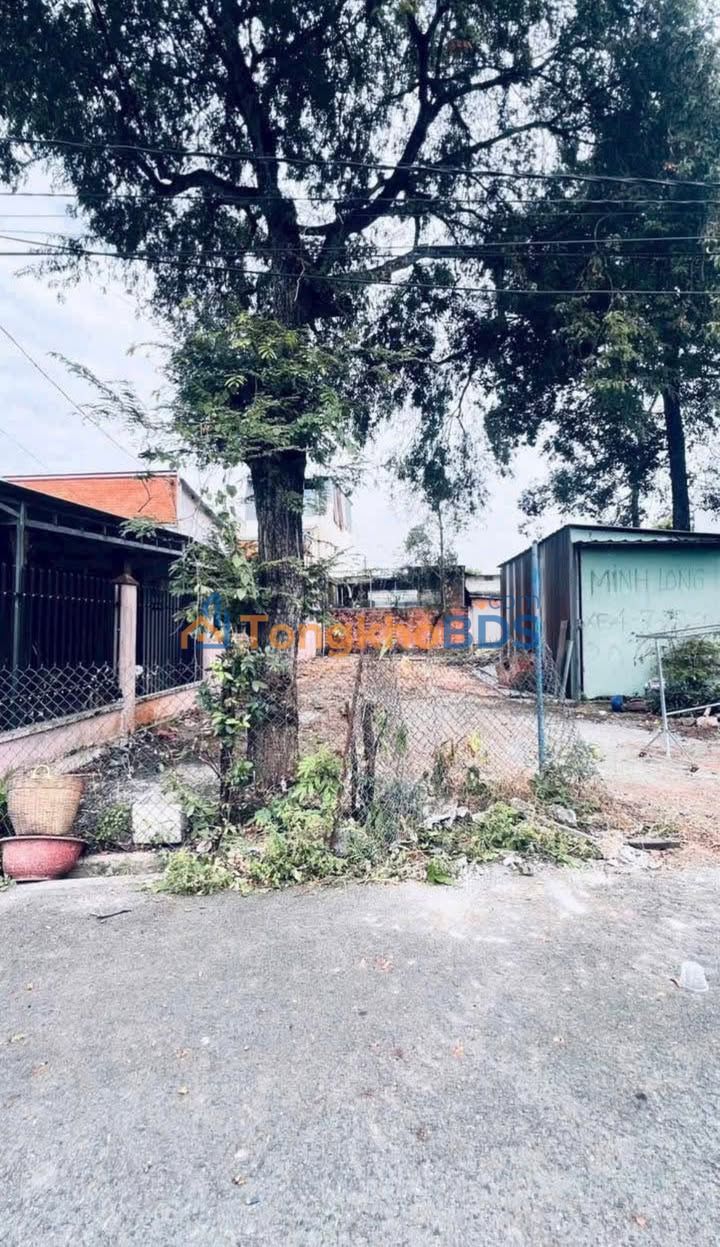 Đất Tương Bình Hiệp 126m² - Sổ Thổ Cư, Sẵn Sàng Xây Dựng