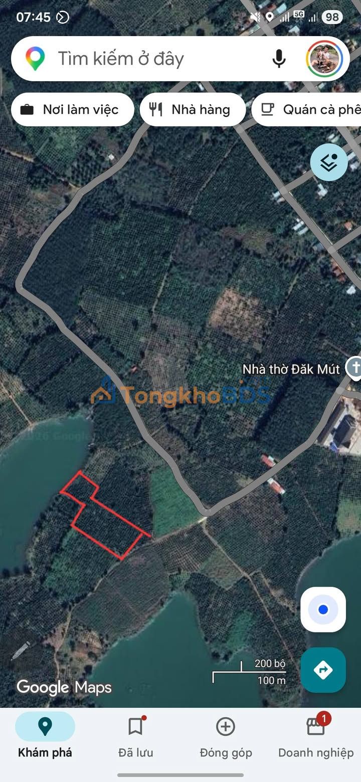 Bán Rẫy Cà Phê Đăk Mút, Kon Tum - 6000m² View Hồ Cực Đẹp, Giá 1.3 Tỷ